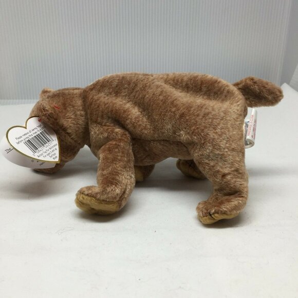 Ty Beanie Baby Pecan Bear Plush Stuffed Animal Retired W Tag April 15 1999 - Picture 4 of 10